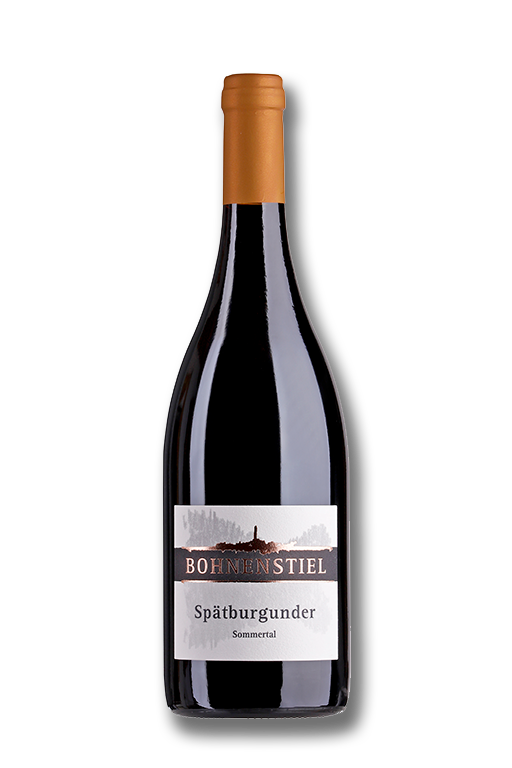 2020 Spätburgunder trocken