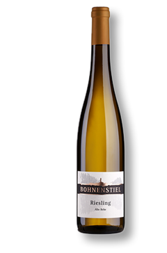 2023 Riesling trocken - Alte Rebe
