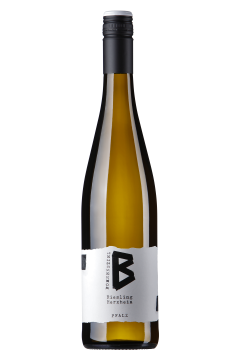 2025 Riesling trocken - Herxheim
