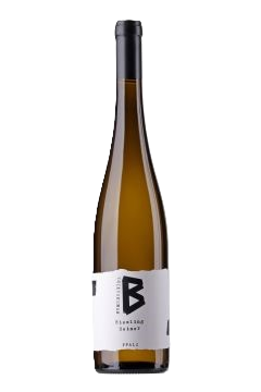2024 Riesling  trocken - Seiner